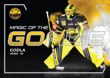 Denis Godla Litvinov Tipsport ELH 2021/22 SportZoo 1. serie Magic of the Goalie #MG-15